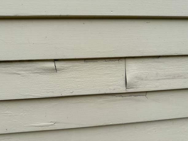 Trusted Portage, MI Siding Installation & Repair Experts